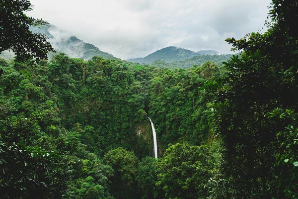 Comment organiser une randonnée dans les forêts tropicales du Costa Rica?